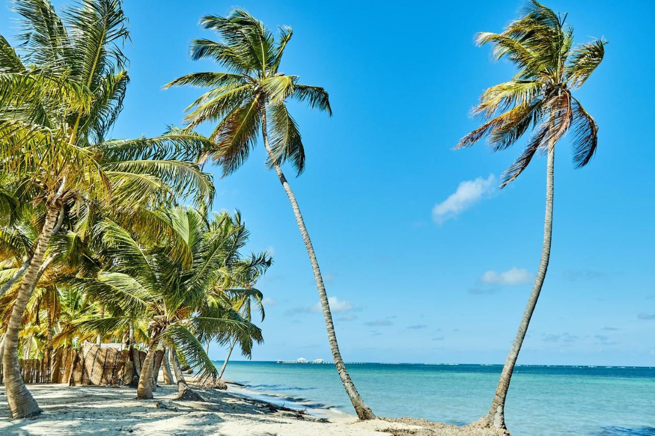 Las Terrazas Condo Punta Cana Beach - Los Corales Village Exterior photo